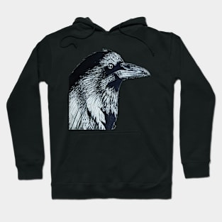 Raven of Interest Hoodie